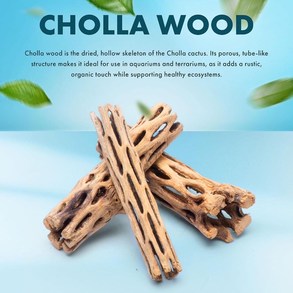 Natural Cholla Wood, Driftwood for Aquariums, Air Plant Base - Stick / 4 Inch (Pack of 3) - image 2