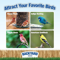 CountryMax Thistle Wild Bird Seed 40 lb – Premium Quality, 100% Clean, No Debris – Attracts Finches & Small Songbirds