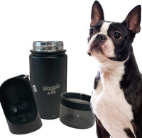 Stainless Steel Dog Travel Water Bottle - Black - image 4