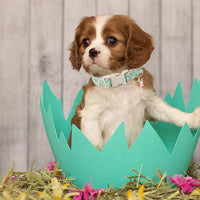 ARING PET Fall Dog Collars - Large / Easter-Green Rabbit - image 3