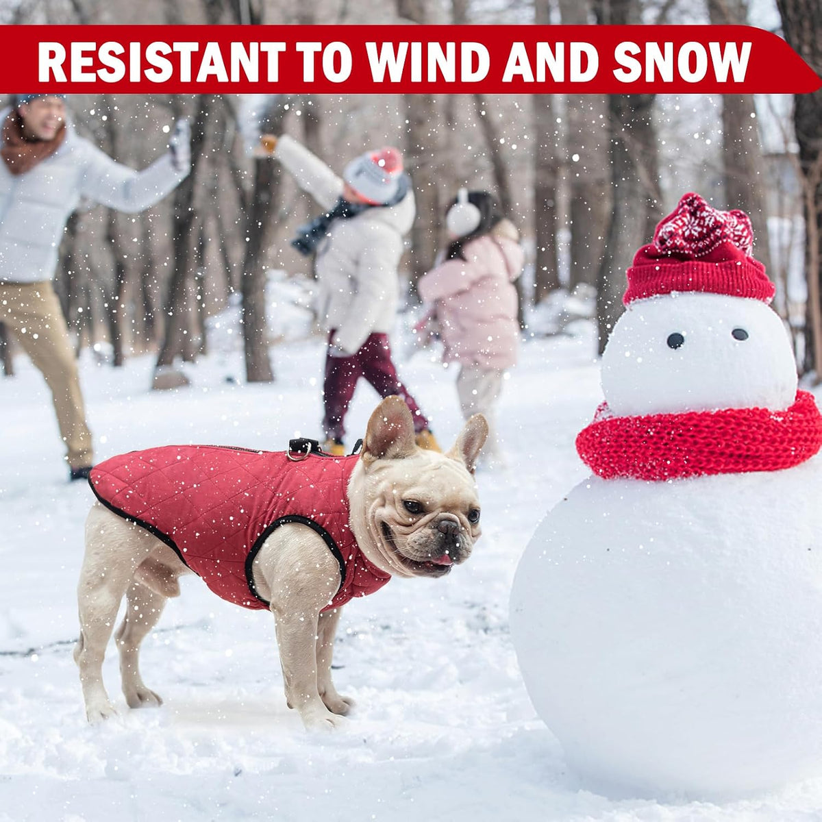 Winter Dog Vest Coat with Harness Built in – Essentials for Dogs - #1 Red - Matte / XL(Chest 21.5")-Regular - image 4