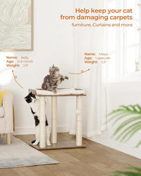 Modern Cat Tree for Large Cats, Full Sisal Cat Scratching Post – Essentials for Cats - Greige / 19.7"L x 13.4"W x 22"H - image 2