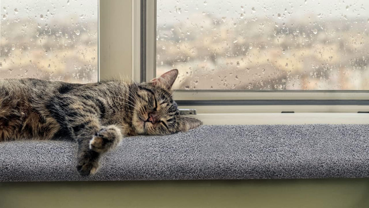 Purrched Cat Window Perch – Essentials for Cats - image 4