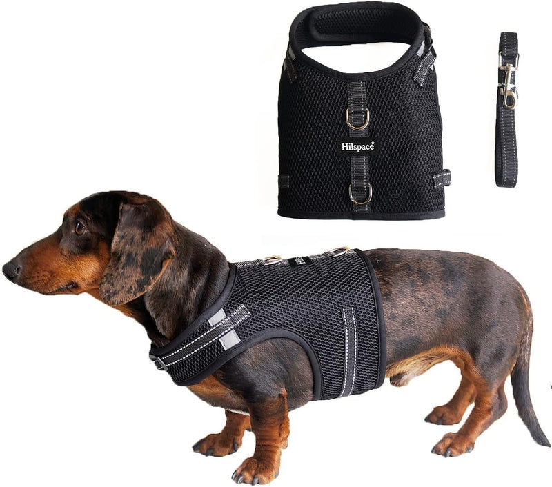 Mini Dachshund Harness, No Armpit Rub, Escape Proof, Reflective - Black / L: Chest 53-63cm (21"-25")