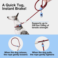 VETRESKA Hands-Free Dog Leash - Mist&Merlot Red - image 3