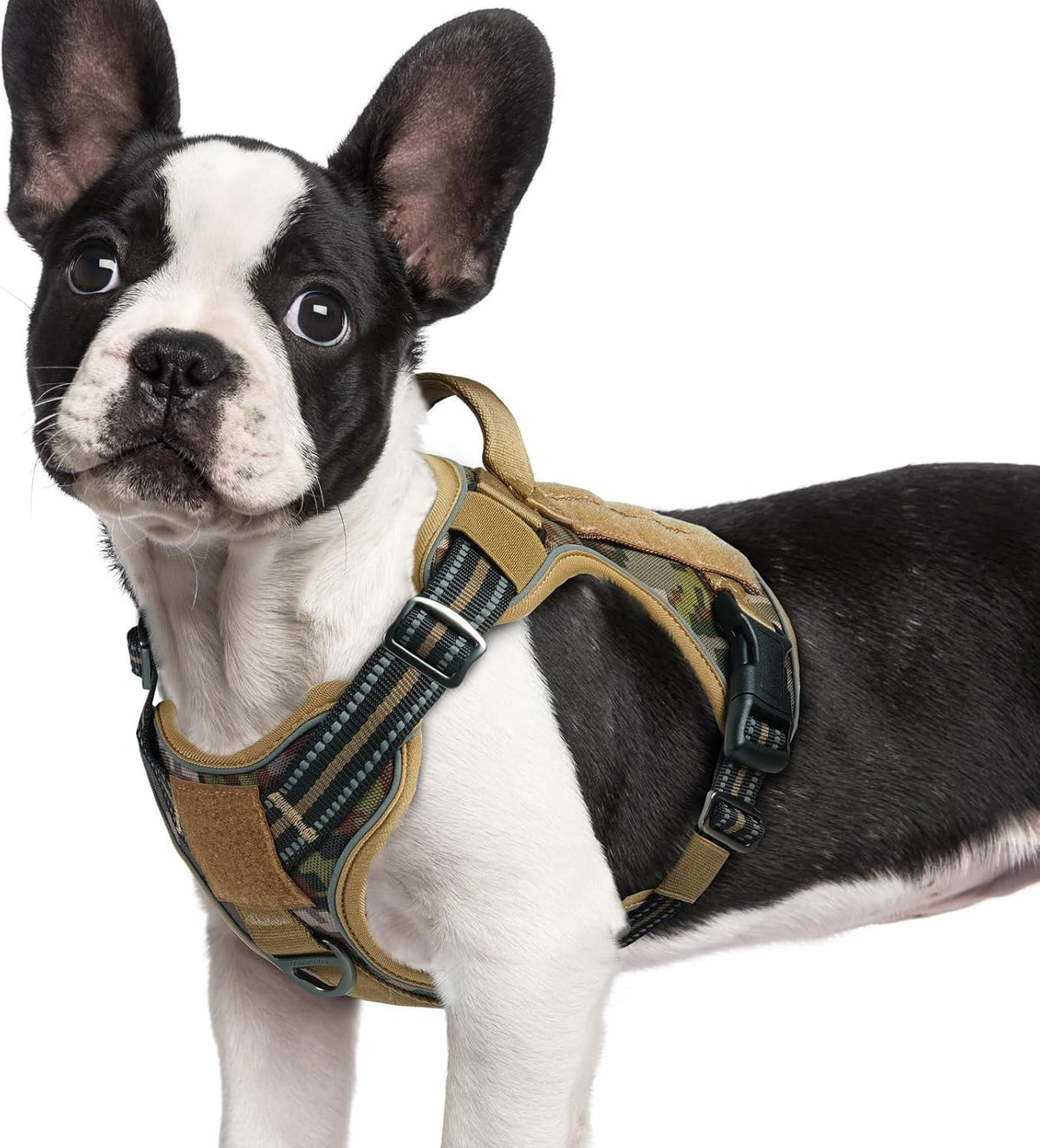 rabbitgoo Tactical Dog Harness for Large - Desert Camo / S(Chest:16.1"-31.5",Neck:15.4"-21.6",Back:7.1")