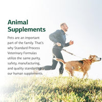 Standard Process Inc. Feline Whole Body Support - Nutritional Cat Supplement for Multisystem Support - Feline Daily Maintenance Supplement - 90 Tablets