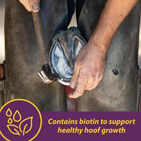 Horse Health Vita Biotin Crumbles horse hoof Supplement, Helps maintain healthy, sound hooves and strong hoof walls, 3 lbs., 48 day supply