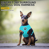 BINGPET No Pull Dog Harness,Soft Mesh Breathable All Weather Vest Harness,Safety Protection Design Durable Adjustable Step-in Easy Walk Dog Harness for Small Medium Large Dogs(RoyalBlue,XS)