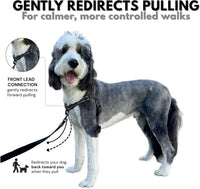 ShawnCo Dream Walk Pro No-Pull Dog Harness – Essentials for Dogs - Medium / Midnight - image 2