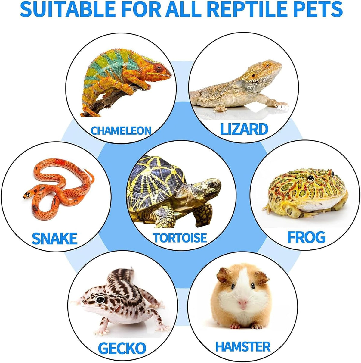 Reptile Basking Platform 6 × 6", Extra Large Reptile Slate - 11.8 × 7.9 IN + 4 IN - image 4