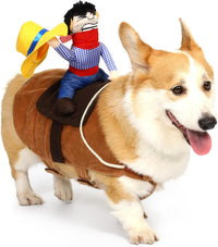 T2Y cowboy rider dog costume with saddle design and mini hat