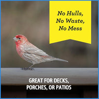 Pennington Select Chips & Bits Wild Bird Seed for Outside Feeders, High-Protein, No-Hull & No-Waste, Sunflower Chips & Peanut Bits Attract Songbirds,15-lb. Bag
