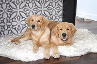PupRug Orthopedic Dog Bed for Large Dogs with Fluffy Soft Faux Fur and Memory Foam for Joint Pain Relief, Machine Washable and Waterproof Couch Bed, White, Extra Large