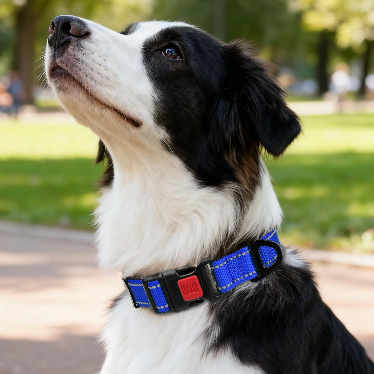 Taglory Reflective Large Dog Collar - Navy Blue / Medium (Pack of 1) - image 2