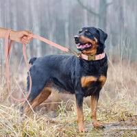 Didog Soft PU Leather Dog Collar, Stylish Quick Released Dog Collars for Large Dogs, Easy Clean Adjustable Pet Collar for Daily Walking, Pink, XL Fit 17-27" Neck