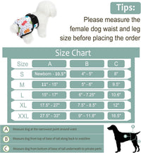 Washable Female Dog Diapers - Large（15"-17"Waist） / Animals - image 3