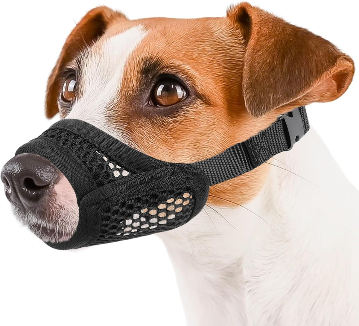 Mesh Muzzle for Short Snout and Small Medium Dogs Anti-Biting – Essentials for Dogs - Black / M [Snout Cir: 6.75-7.25"]