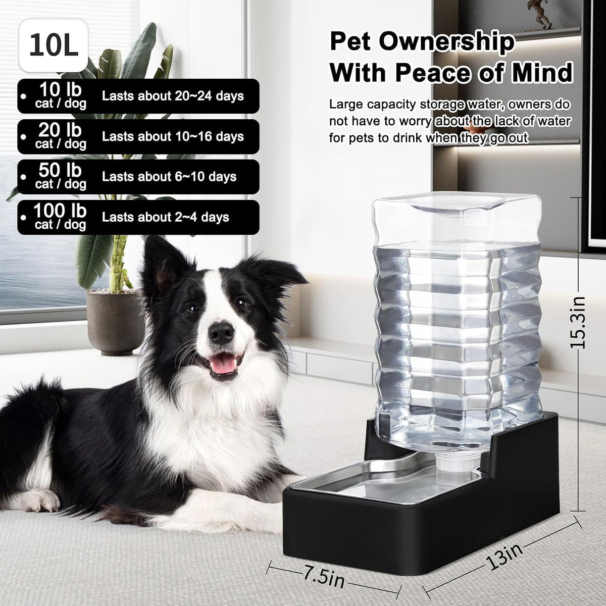 2.4Gallon Dog Water Bowl Dispenser for Dogs:Leak Resistant Waterer – Essentials for Dogs - Black without Filter / 10L - image 2