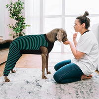 Kuoser Dog Recovery Suit, Anti Licking Dogs Rear Leg Sleeve, Abdominal Dog Surgical Suit with Pants Cover Protect Wounds, Dogs Elbow Protector Soft Pet Surgery Onesie Cone Alternative, Green 4XL