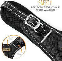Mighty Paw Sport Harness 2.0 - Padded Canine Accessory - Adjustable Neck and Chest Straps - Enhanced Visibility with Reflective Stitching - Dog Padded Harness with Handle - Large - Black