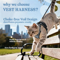rabbitgoo Cat Harness and Leash Set, Escape Proof Vest - Xxs / Doodle Gray - image 2