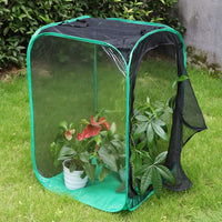 RESTCLOUD 36" Large Monarch Butterfly Habitat - Black with Green - image 4