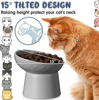 4 Pcs Ceramic Raised Cat Bowls - White and Grey - image 3