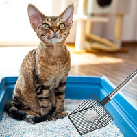 PUPTECK Fast Sifting Cat Litter Scoop - Long Handle Chicken Poop Scooper with Deep Shovel, Heavy Duty & Non-Stick Kitty Metal Litter Sifter, Chicken Coop Accessories