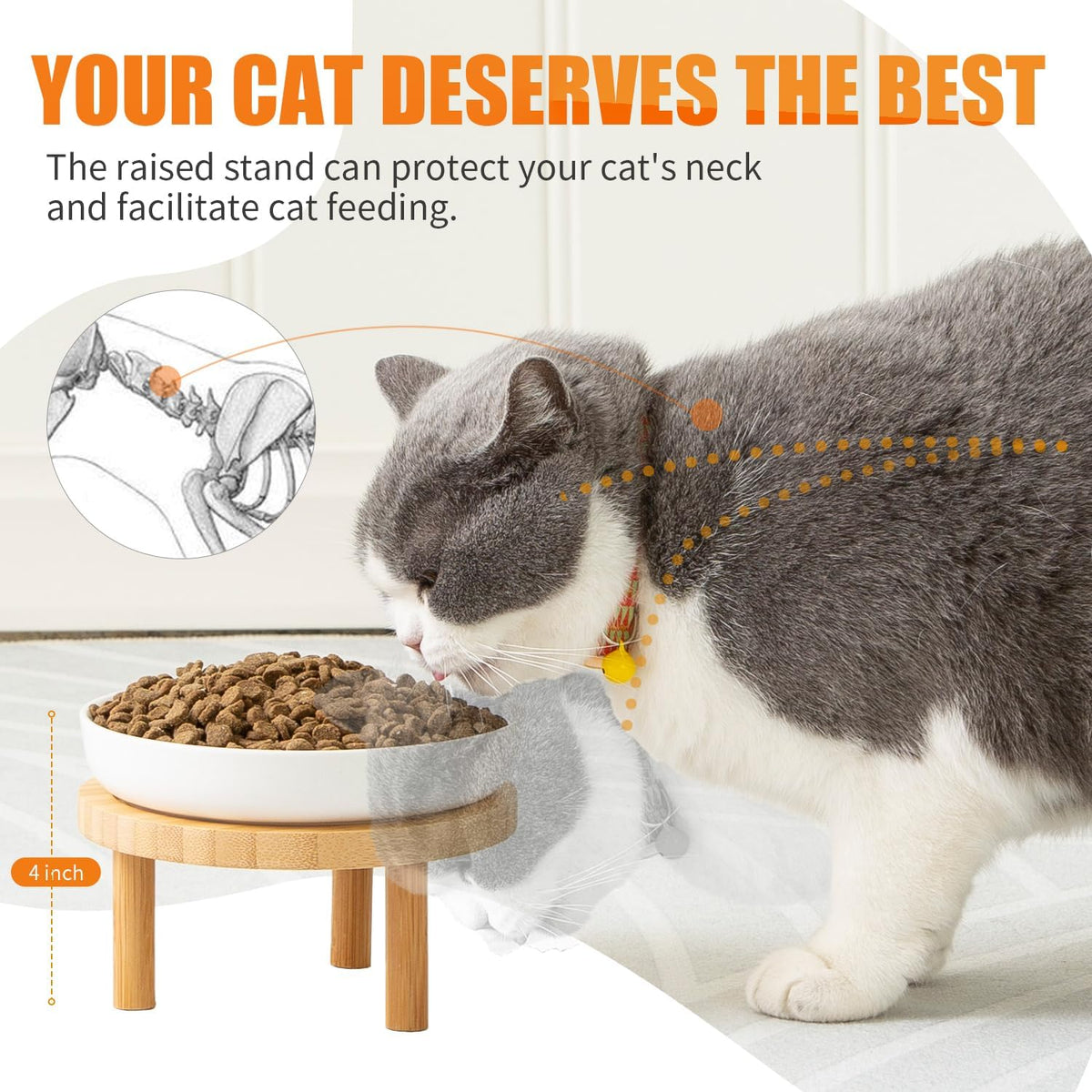 Shallow Wide Elevated Cat Bowls Whisker Fatigue – Essentials for Cats - Grey / Plate with stand(set of 2) - image 2