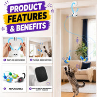 Interactive Cat Toys for Indoor Cats - Blue - image 4