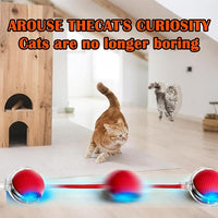 Cat Ball Toy,New Interactive Rolling Cats Dog Toy Balls 360° Smart Automatic Rolling Pet Ball, Fast Moving Toy for Dog,Interactive Toys for Cats (Blue)