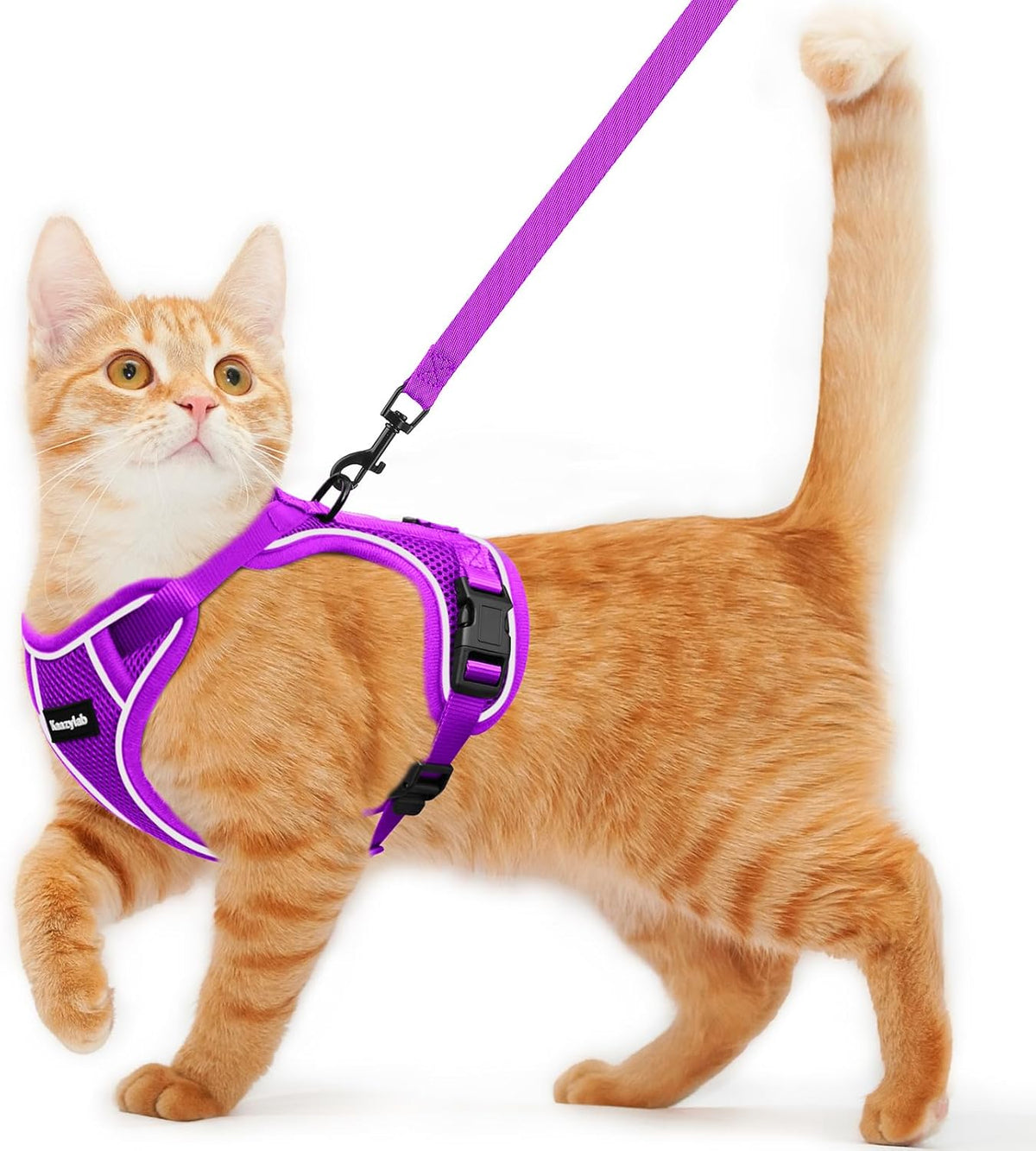Cat Harness and Leash for Walking Escape Proof Soft Adjustable Cat - Purple / XS (4-6lb)