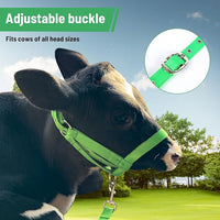 XUANNIAO Easily Adjustable Figure 8 Cow Halter, Double-Ply Premium Livestock Cattle Halters, Colorful Cow Utility Calf Halter with Leading Rope for Miniature Horse Donkey Goat Foal (Medium, Black)