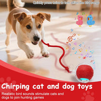 Interactive Cat Toys Smart Ball for Cats & Dogs! Now with 2 Rapid - Red - image 2