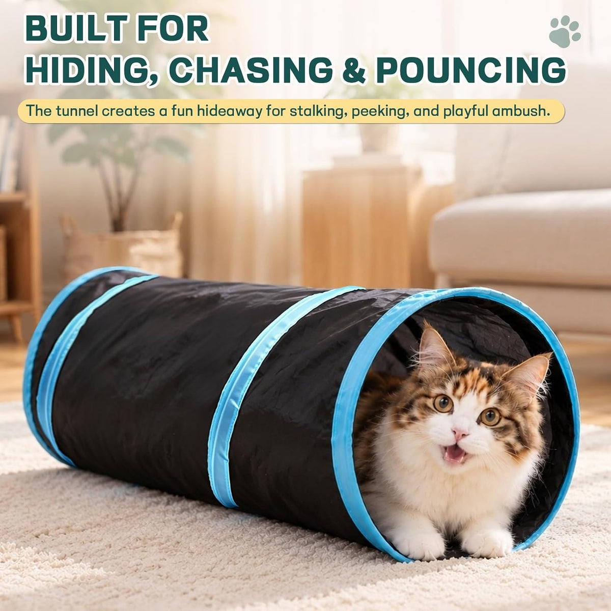 iCAGY 25 Pcs Cat Toys Set, Cat Tunnel Toy for Indoor Cats - Starter Set (black) - image 4
