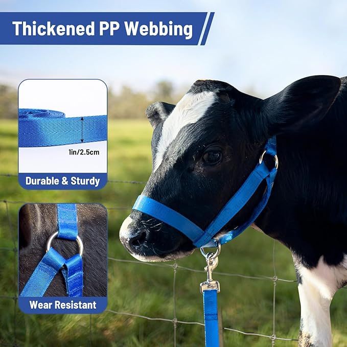 XUANNIAO Easily Adjustable Figure 8 Cow Halter, Double-Ply Premium Livestock Cattle Halters, Colorful Cow Utility Calf Halter with Leading Rope for Miniature Horse Donkey Goat Foal (Medium, Blue)