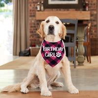 Dog Birthday Bandana – Premium Cotton Birthday Boy Bandana for Dogs - BIG FRENCHIES
