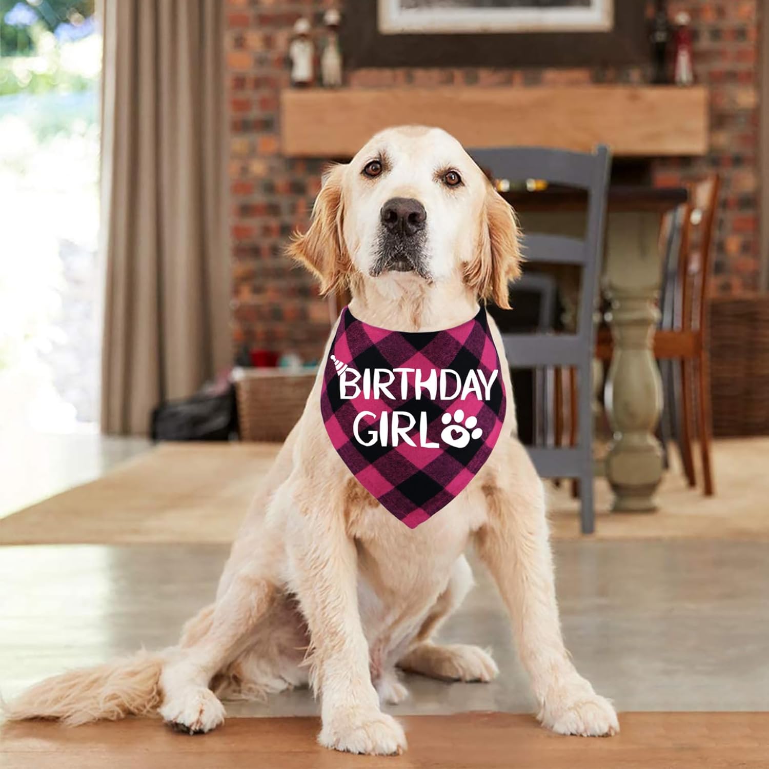 Dog Birthday Bandana – Premium Cotton Birthday Boy Bandana for Dogs - BIG FRENCHIES
