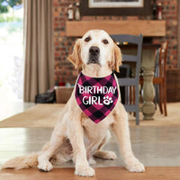 STMK Dog Birthday Bandana - Large / Pink - image 3