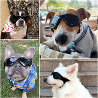 Clear Dog Goggles for Small Dogs - Fold Black / Medium - image 2