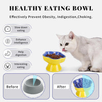 S&Q's CERAMICS Raised Slow Feeder Cat Bowl - 5.8" / Blue - image 3