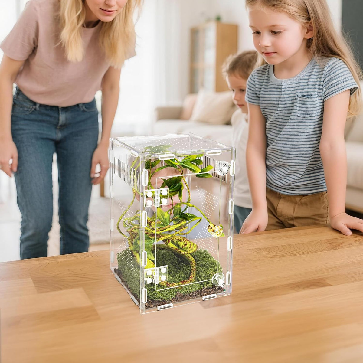 Acrylic Reptile Terrarium Easy Assembly - M-9.8*5.9*5.9in-Upgrade - image 2