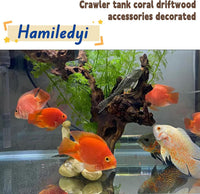 Aquarium Driftwood 3PCS Natural Trunk Driftwood Assorted Branches - Mopani Driftwood (8-12in 3PCS) - image 3