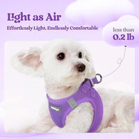 rabbitgoo Dog Harness Small Sized and Leash Set, Step in Soft Light Puppy Vest, Breathable Mesh Pet Harness, Reflective for Safe Outdoor Walking, Purple M