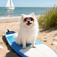 Dog Goggles Small Breed, Dog Sunglasses UV Protection Puppy Eyewear for Small Pet Outdoor Riding - X-Small / Orange - image 2