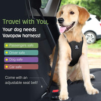 Dog Seat Belt Vest Harness for Car - Black / L (Chest: 22-32.3", Neck: 16.9-26") - image 2