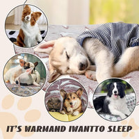 6 Pcs Washable Guinea Pig Blankets Absorbent Small Animal Fleece Bedding Cage Liners Reusable Pet Pee Pad Sleep Mat Pad Cover for Hamster Ferret Rabbit Chinchilla Hedgehog (Black, 24" x 47")