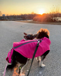Gooby Zip-Up Fleece Dog Sweater - Medium chest (~17.5") / Pink - image 2