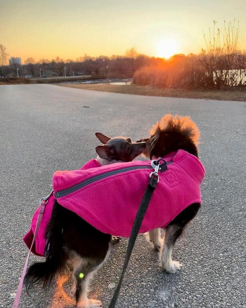 Gooby Zip-Up Fleece Dog Sweater - Medium chest (~17.5") / Pink - image 2